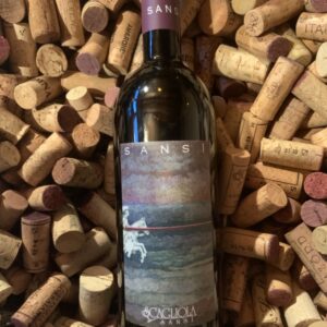 Sansi barbera d'asti d.o.c.g. 2019