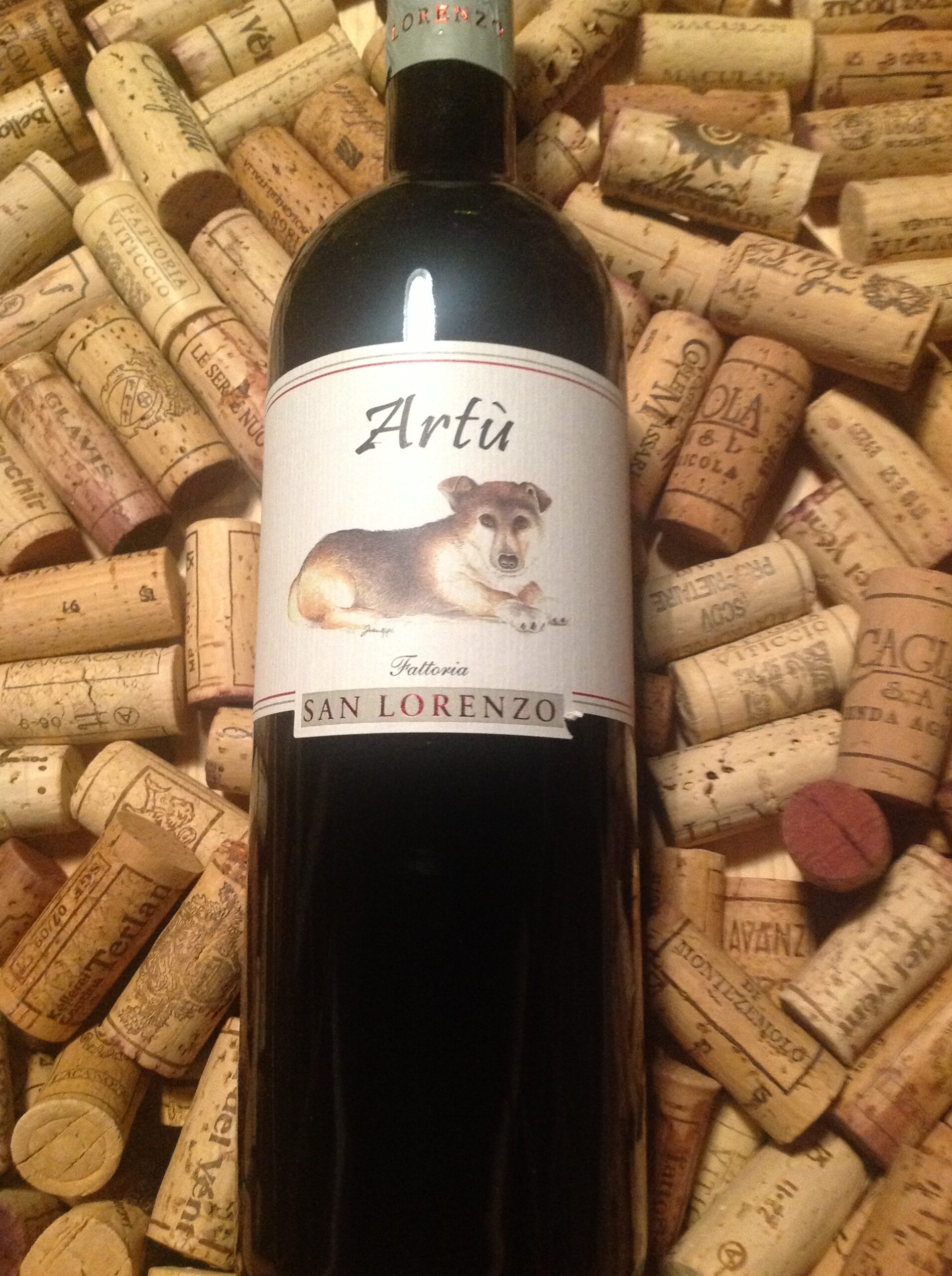 Artu' rosso conero riserva 2012