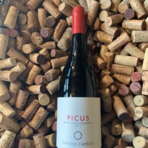 Picus rosso piceno superiore dop 2019