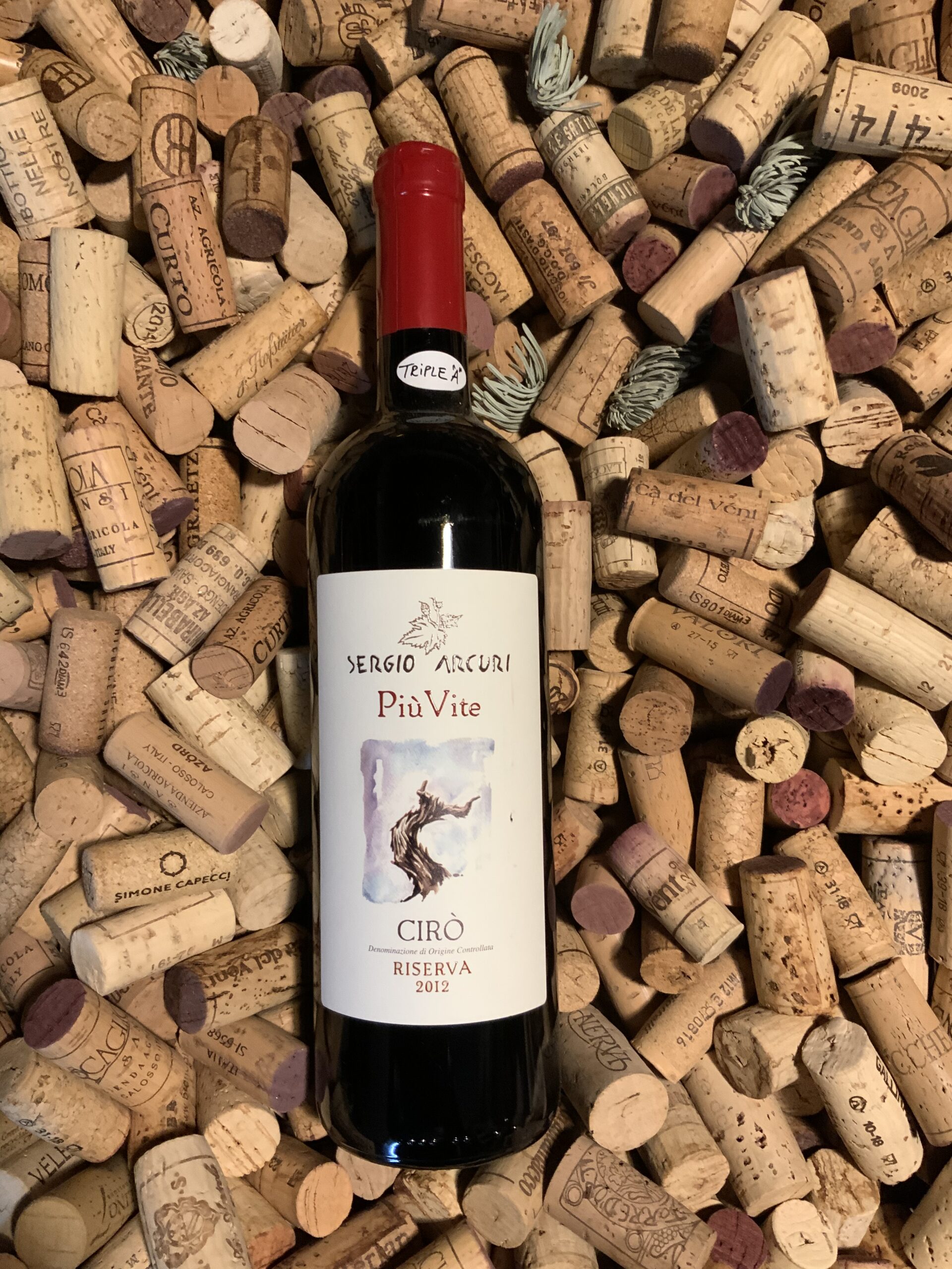 Cirò Rosso Classico Superiore Riserva 'Più Vite' Sergio Arcuri 2012