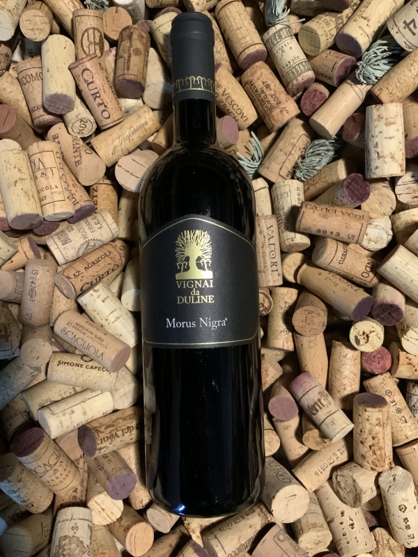 Morus nigra colli orientali del friuli doc 2017